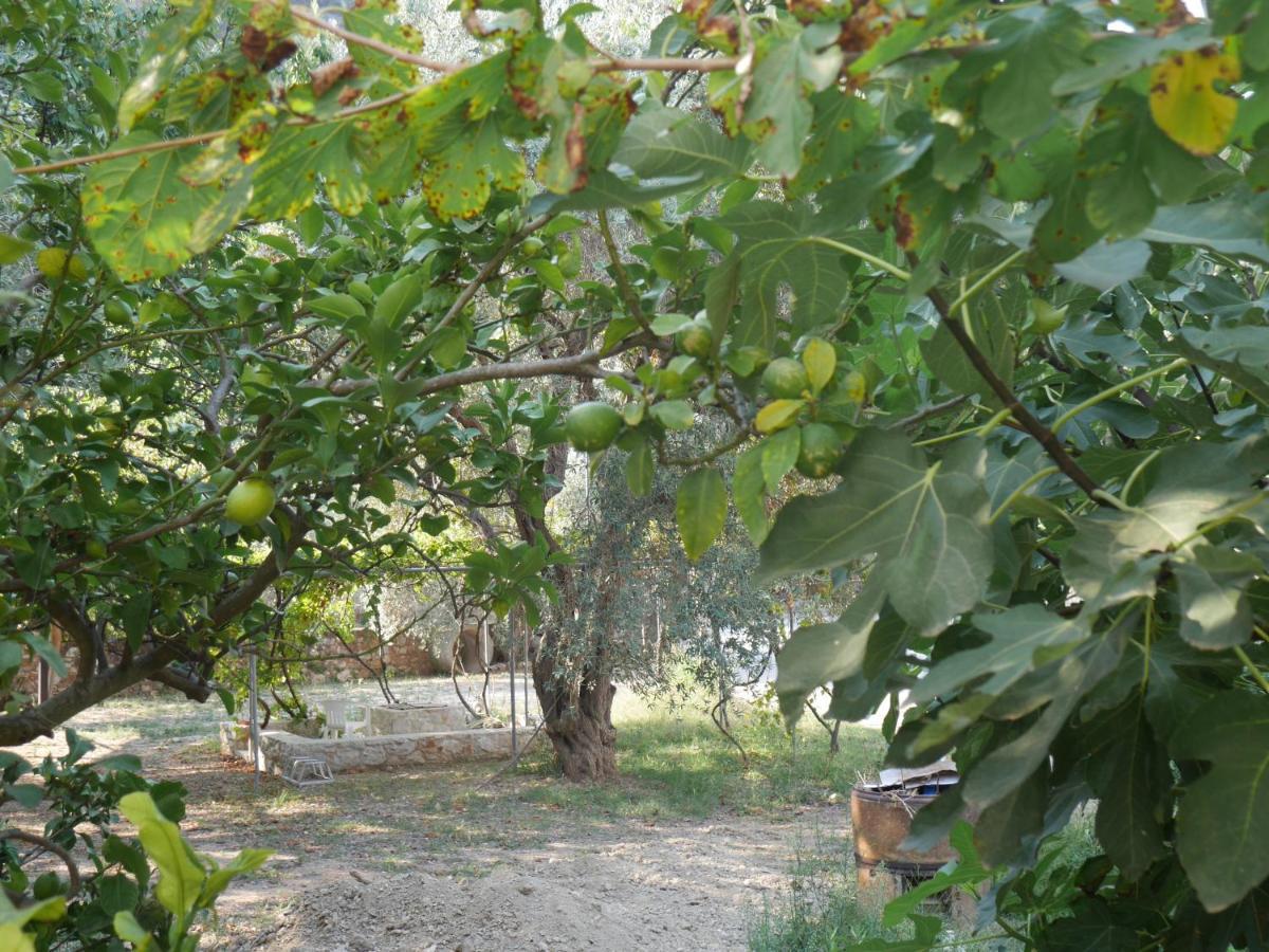 O Pyrgos Accommodations Panormos  Bagian luar foto